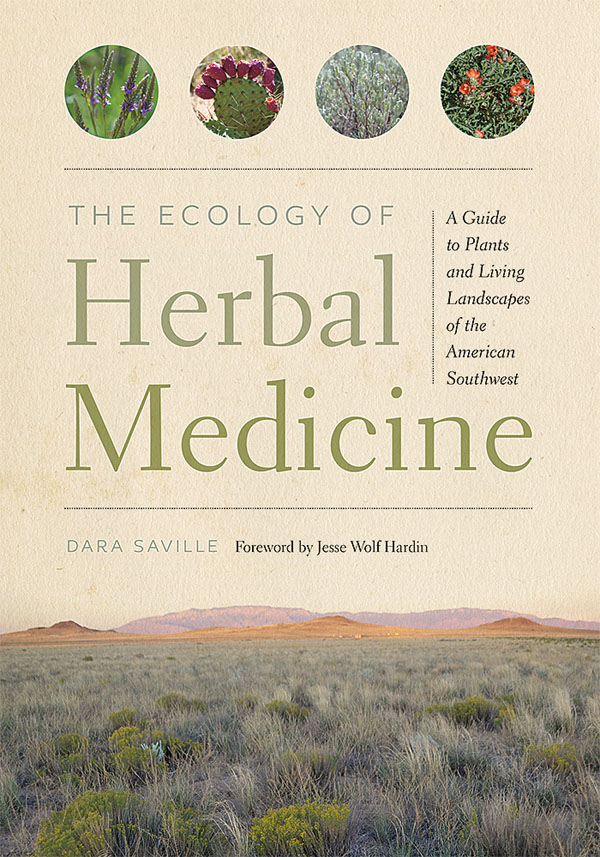 Book Cover Ecology Herbal Medicine_smaller_2