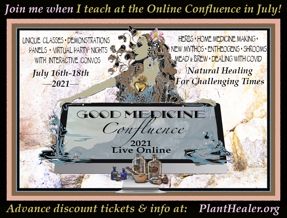 2021 Confluence Teacher Announcement 72dpi